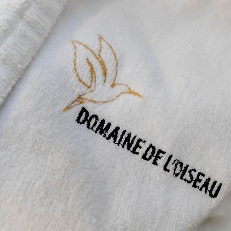 Domaine De L'Oiseau Bed & Breakfast Gergy Ngoại thất bức ảnh